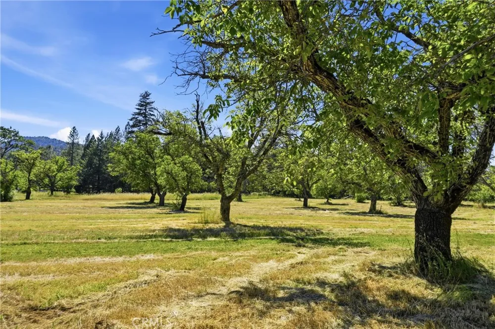 22550 Shady Grove Road Middletown, CA 95461
