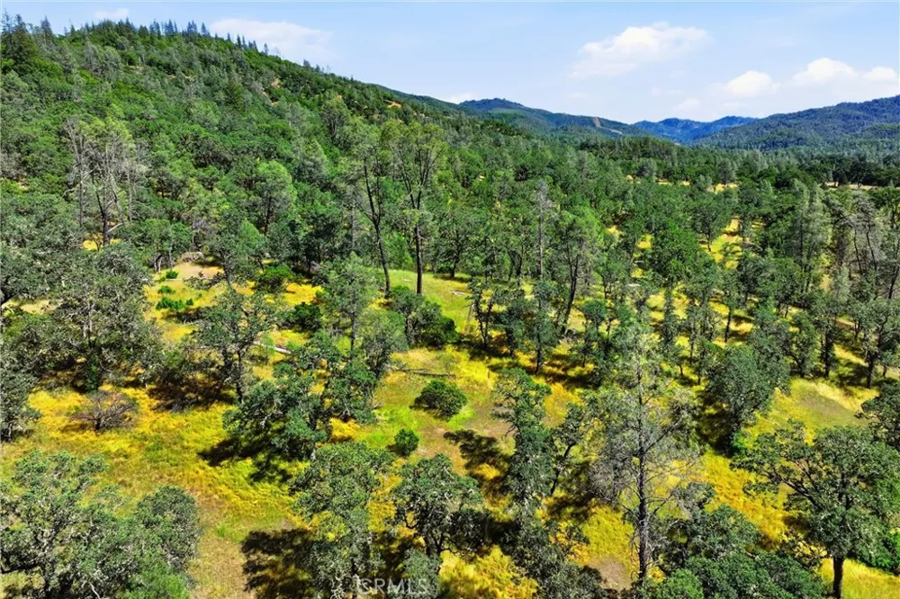 22550 Shady Grove Road Middletown, CA 95461