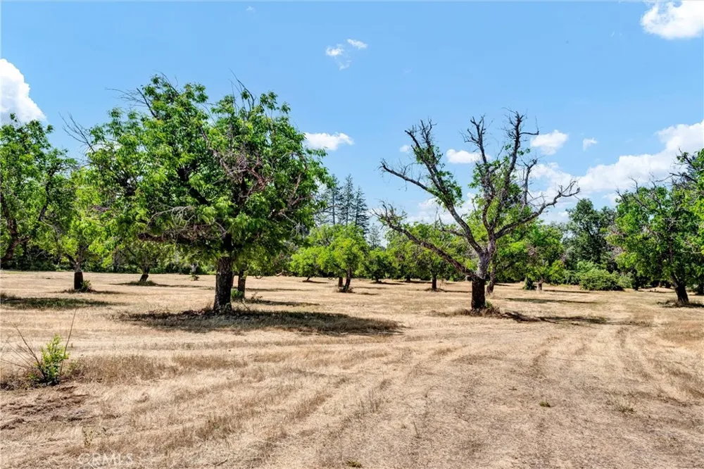 22550 Shady Grove Road Middletown, CA 95461