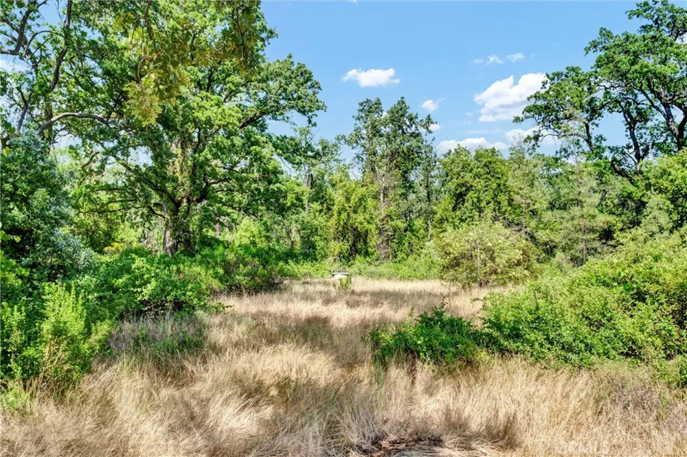 22550 Shady Grove Road Middletown, CA 95461