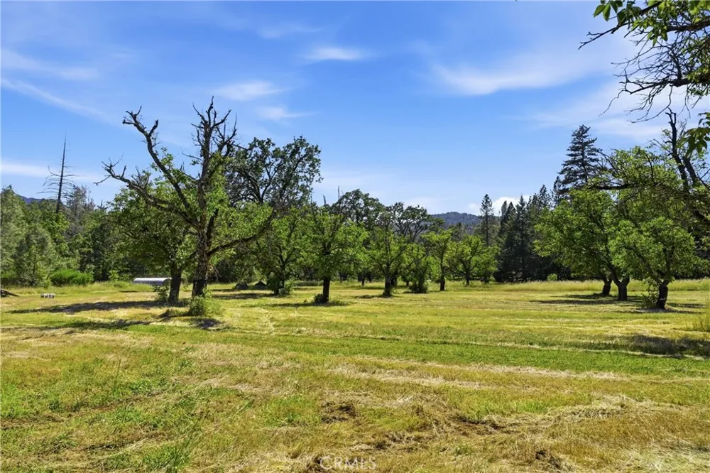 22550 Shady Grove Road Middletown, CA 95461