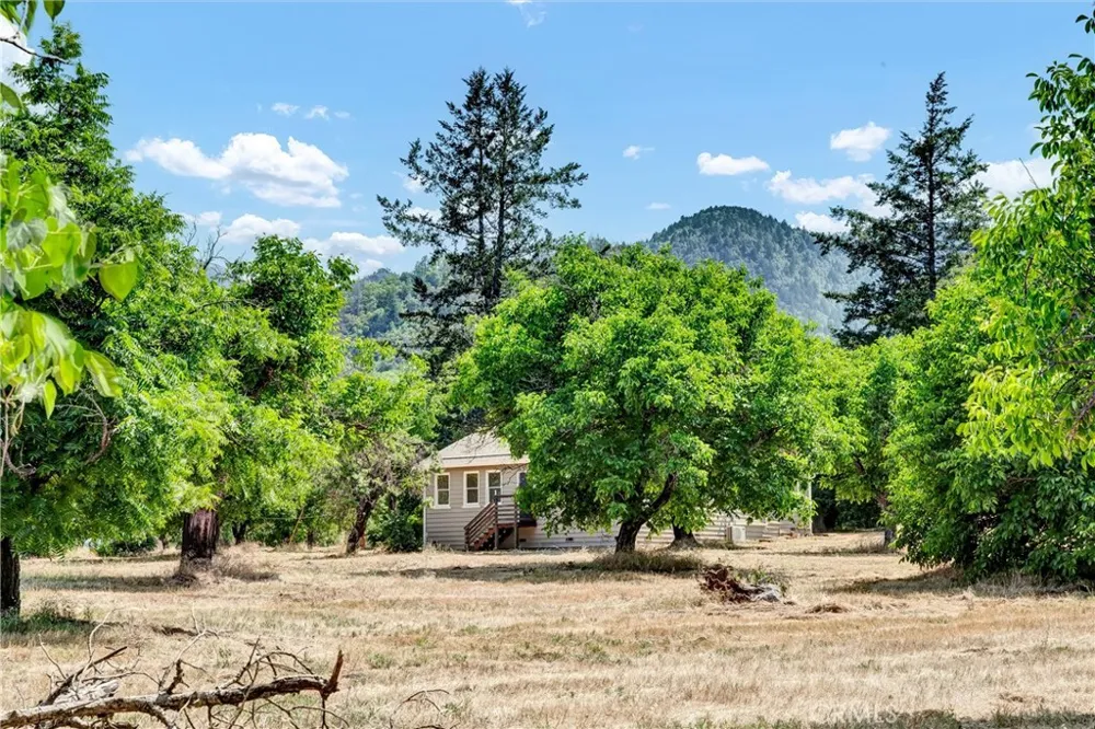 22550 Shady Grove Road Middletown, CA 95461