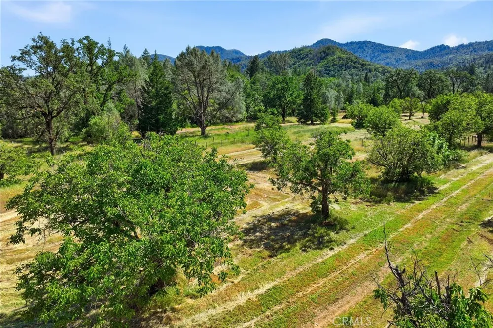 22550 Shady Grove Road Middletown, CA 95461