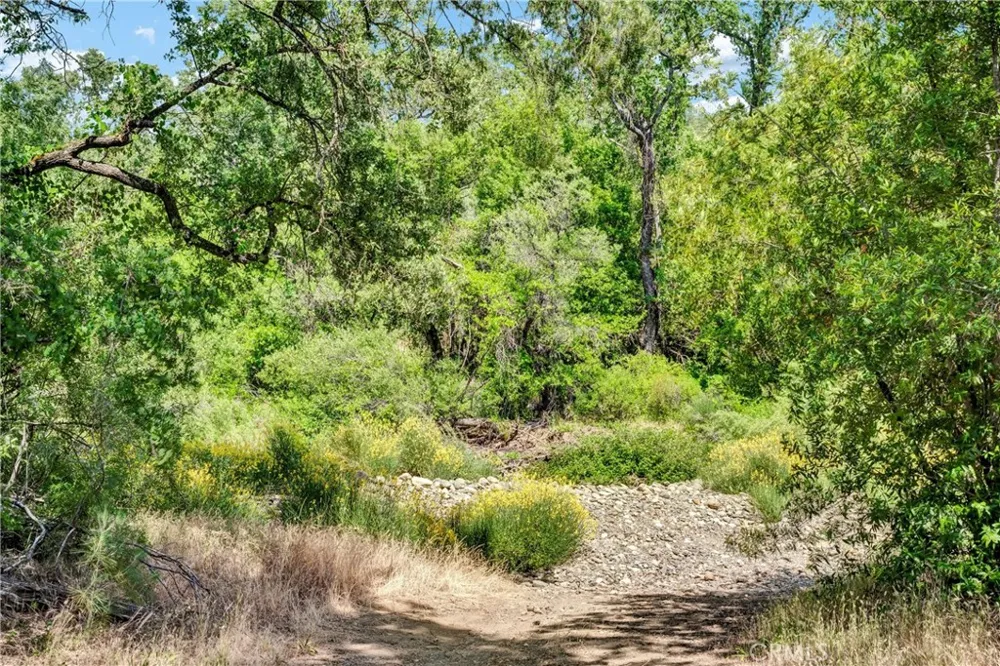 22550 Shady Grove Road Middletown, CA 95461