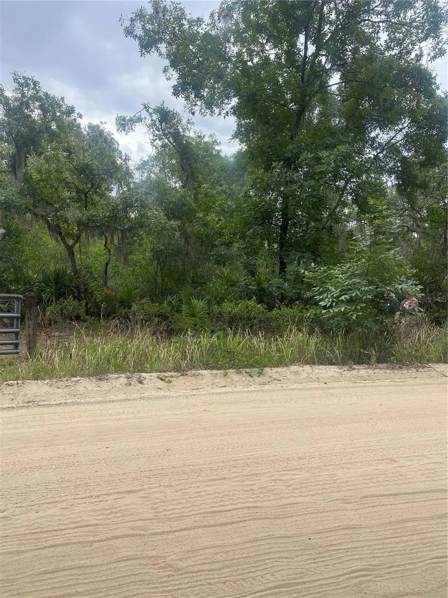 0 MILLSTREAM DRIVE Groveland, FL 34736