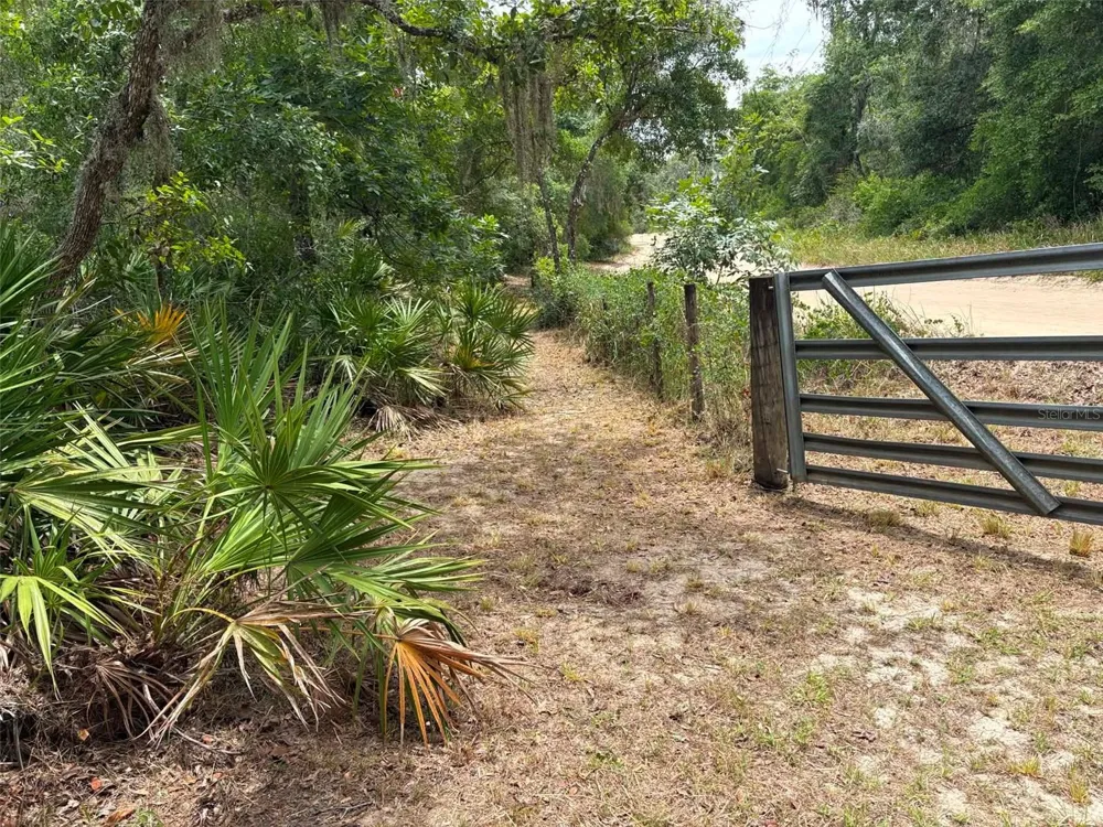 0 MILLSTREAM DRIVE Groveland, FL 34736