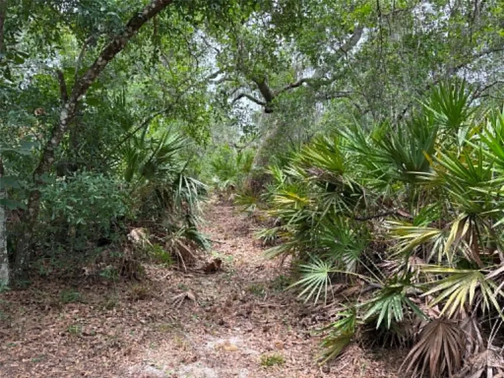 0 MILLSTREAM DRIVE Groveland, FL 34736