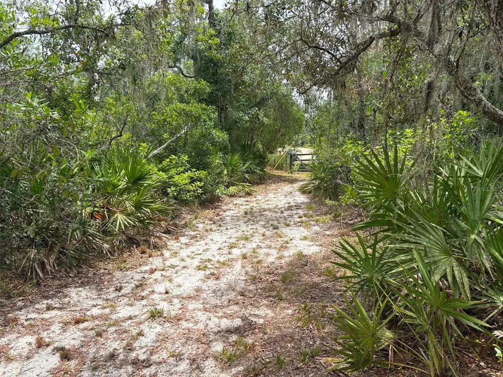 0 MILLSTREAM DRIVE Groveland, FL 34736