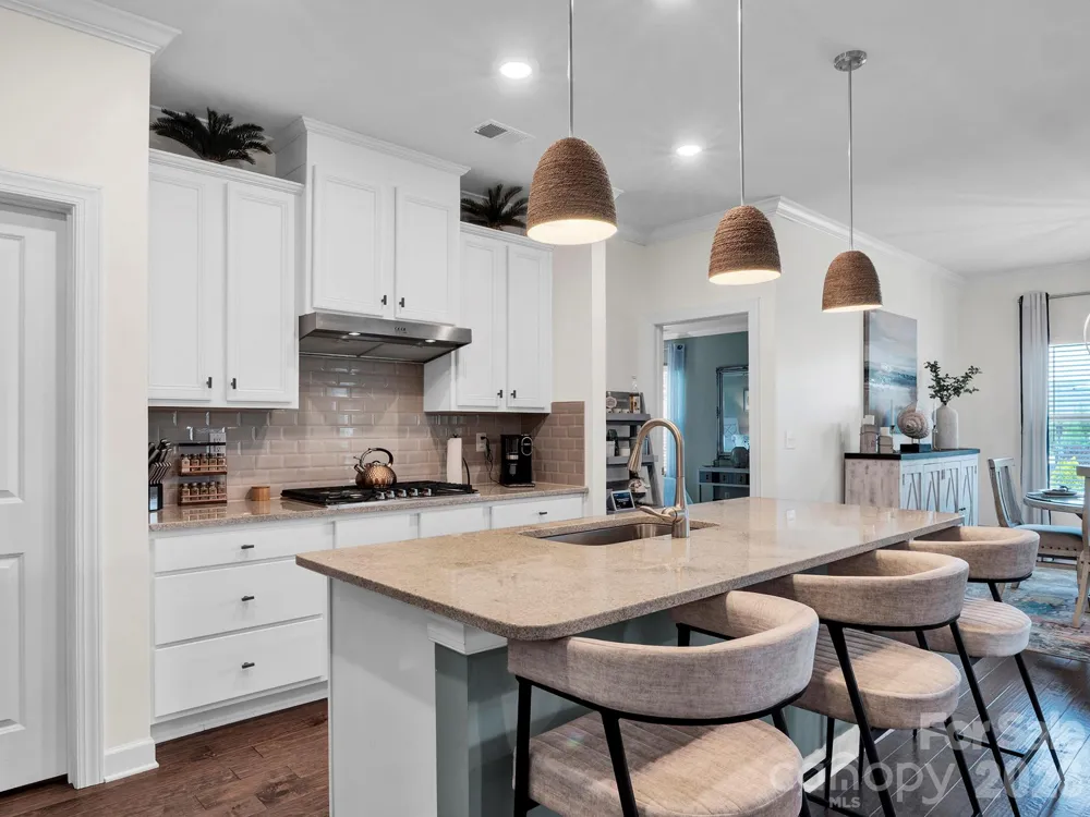 1023 Ellington Downs Way Wesley Chapel, NC 28110