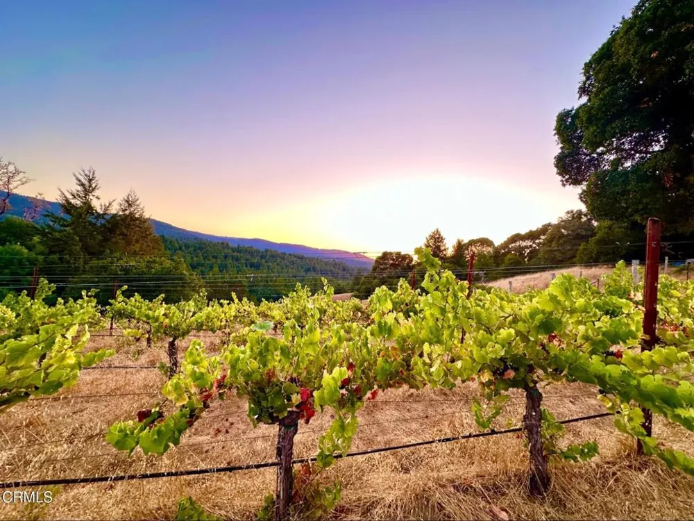 3400 Chardonnay Lane Philo, CA 95463