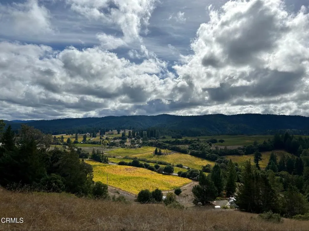 3400 Chardonnay Lane Philo, CA 95463