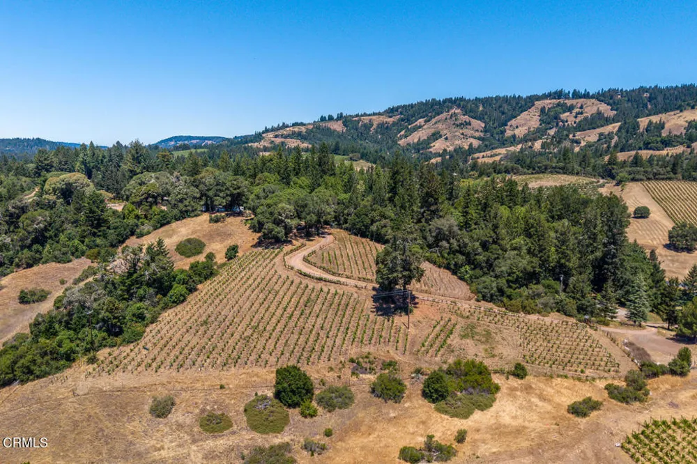 3400 Chardonnay Lane Philo, CA 95463