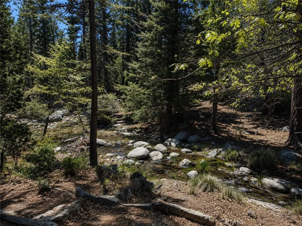 52915 Forest Route 4s02 Idyllwild, CA 92549