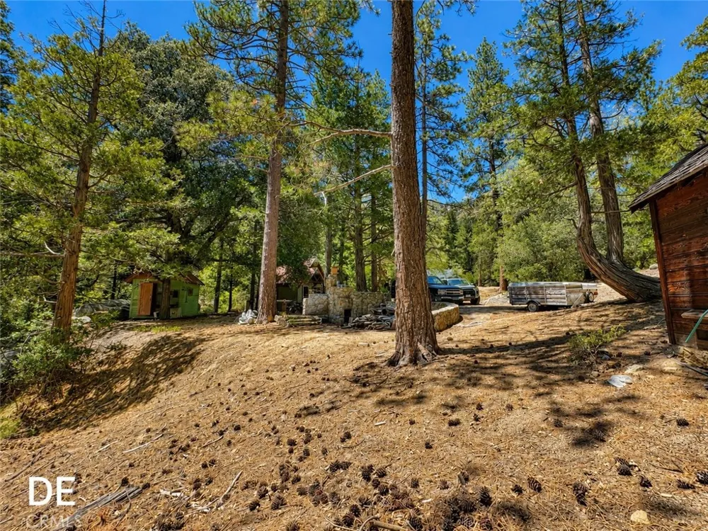 52915 Forest Route 4s02 Idyllwild, CA 92549