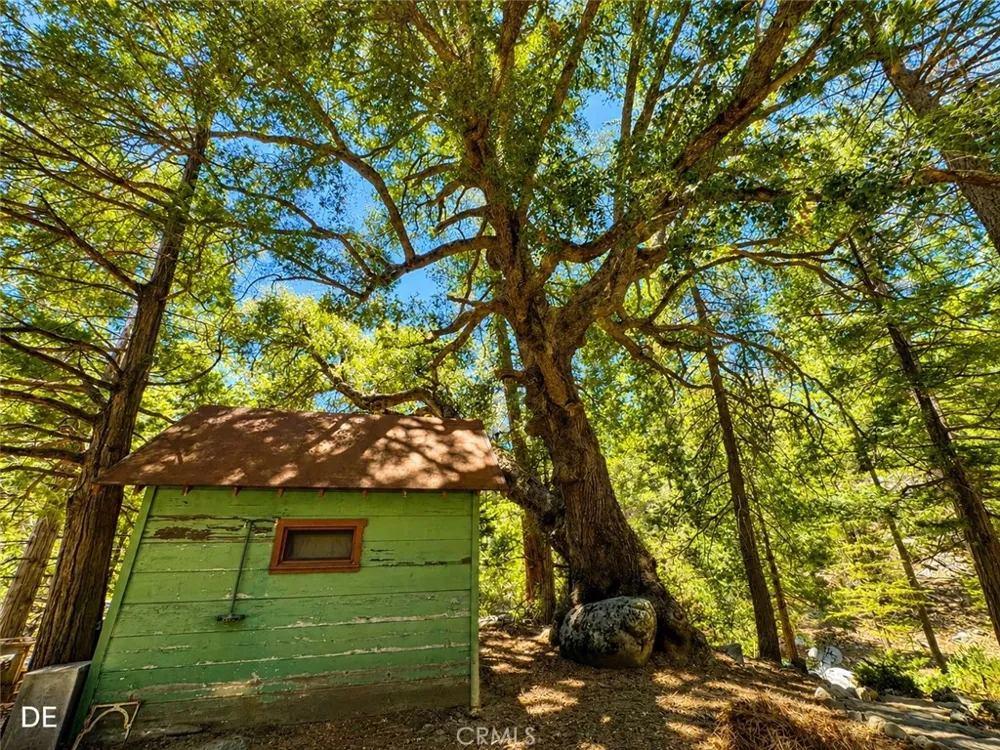 52915 Forest Route 4s02 Idyllwild, CA 92549