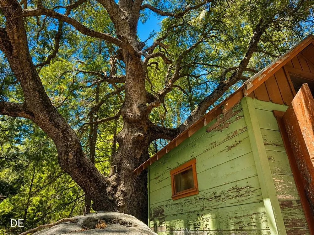 52915 Forest Route 4s02 Idyllwild, CA 92549