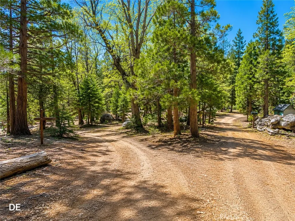 52915 Forest Route 4s02 Idyllwild, CA 92549