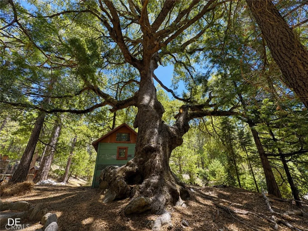 52915 Forest Route 4s02 Idyllwild, CA 92549