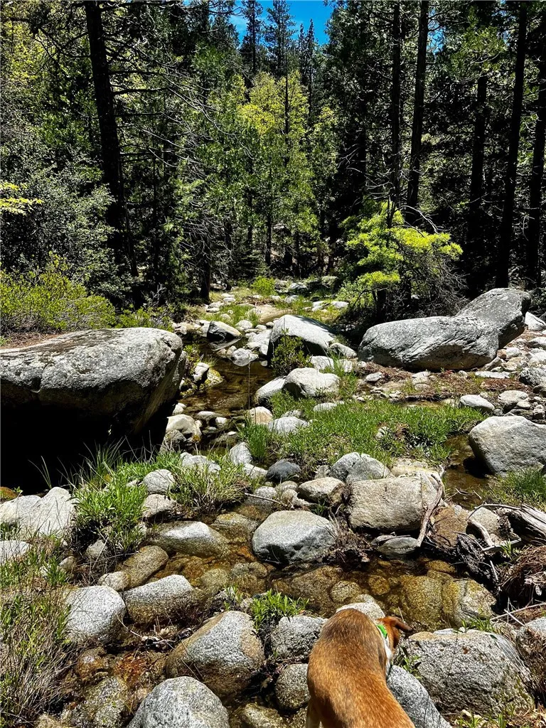 52915 Forest Route 4s02 Idyllwild, CA 92549