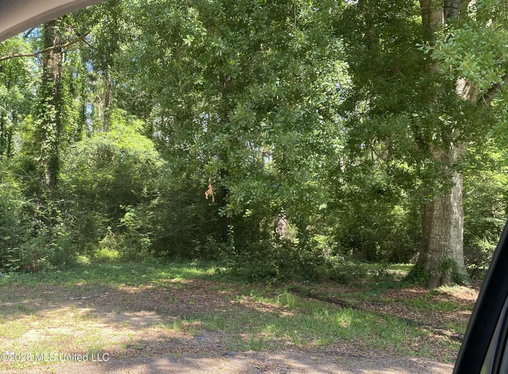 Washington Street Magnolia, MS 39652