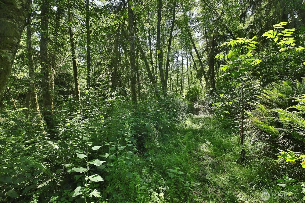 0 XXXX Goss Ridge Road Freeland, WA 98249