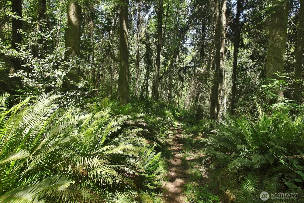 0 XXXX Goss Ridge Road Freeland, WA 98249