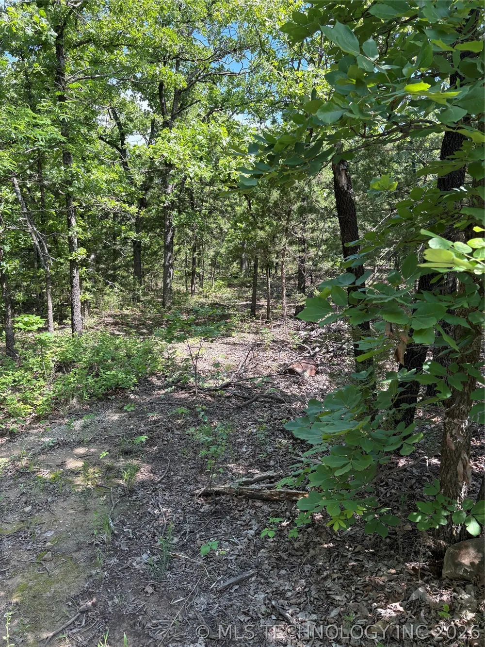 11 Stagecoach Trail Osage, OK 74054