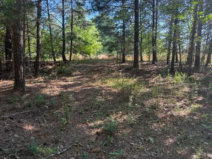 0 Pinetree Way Dahlonega, GA 30533