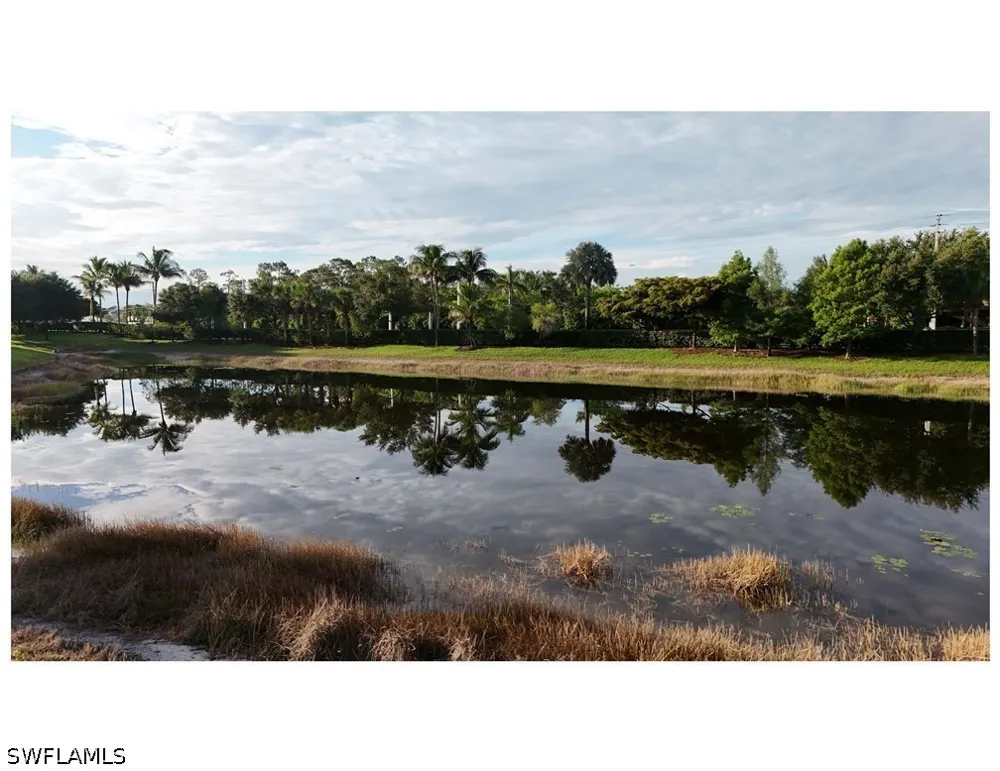 Raffia Drive Naples, FL 34119