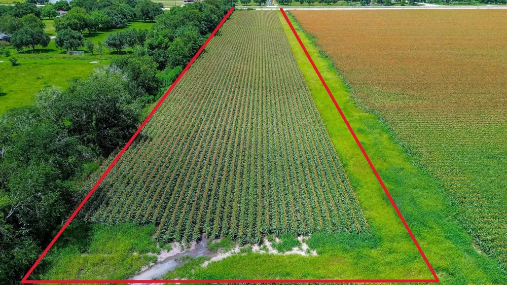 Hartledge Road Rosenberg, TX 77471