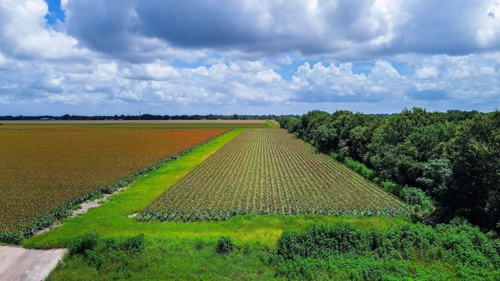 Hartledge Road Rosenberg, TX 77471