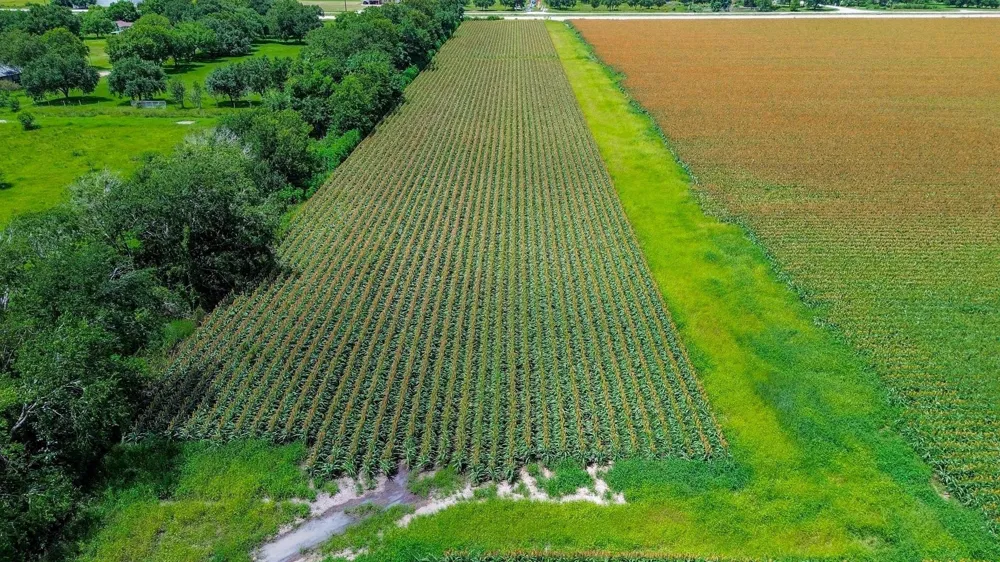Hartledge Road Rosenberg, TX 77471
