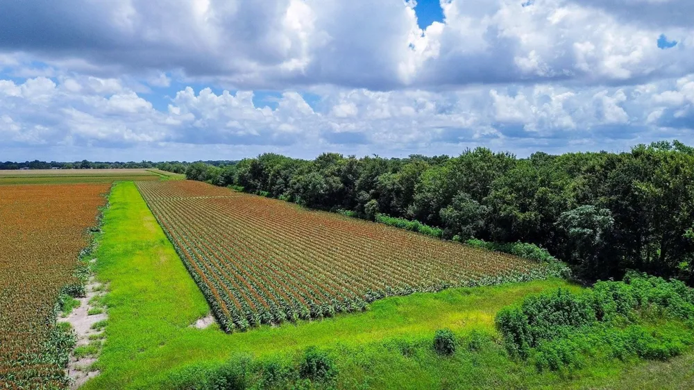 Hartledge Road Rosenberg, TX 77471