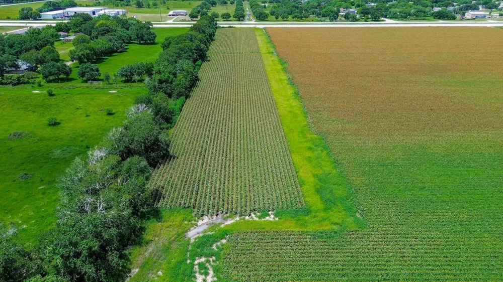 Hartledge Road Rosenberg, TX 77471