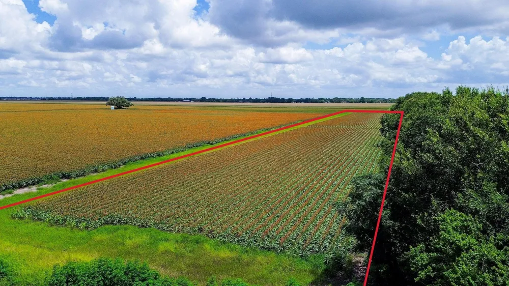 Hartledge Road Rosenberg, TX 77471