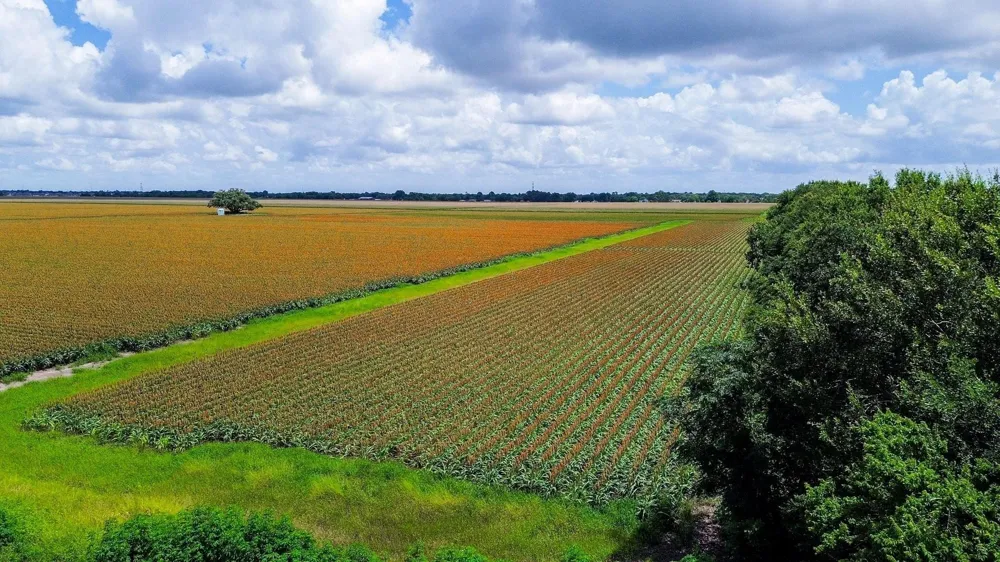 Hartledge Road Rosenberg, TX 77471