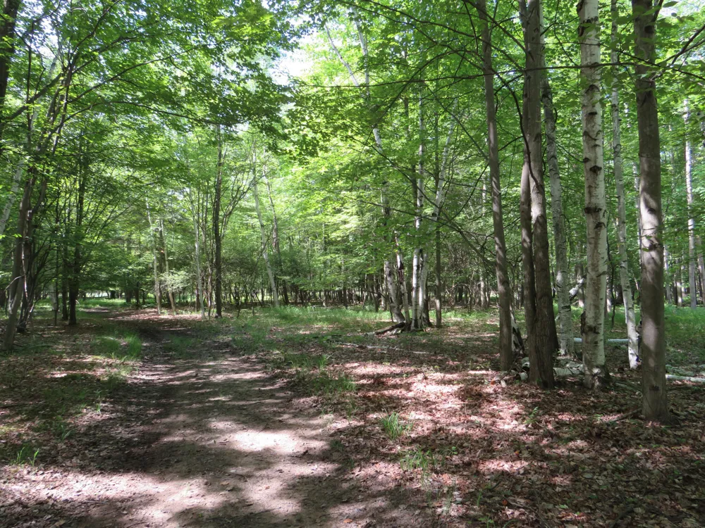 Elkton Road Owendale, MI 48754