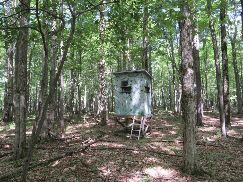 Elkton Road Owendale, MI 48754