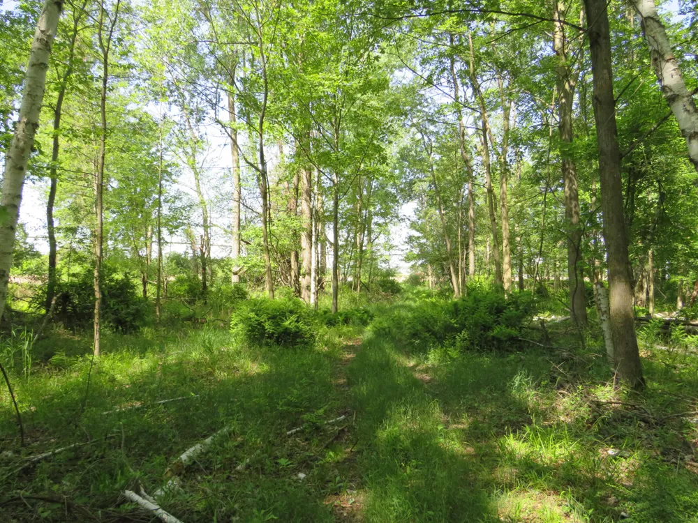 Elkton Road Owendale, MI 48754