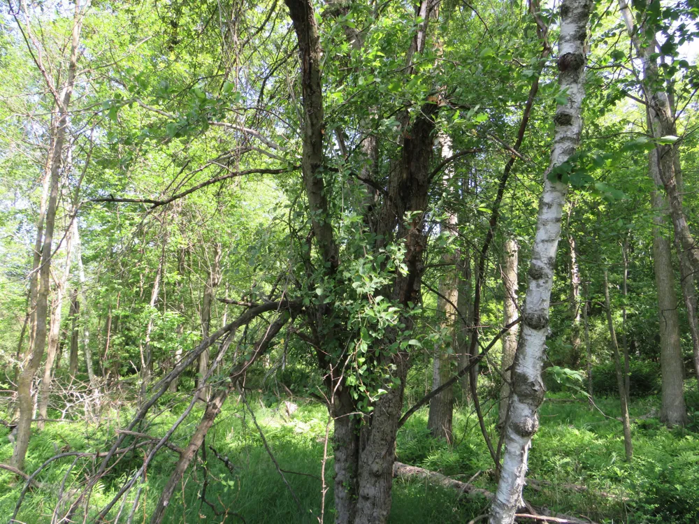 Elkton Road Owendale, MI 48754