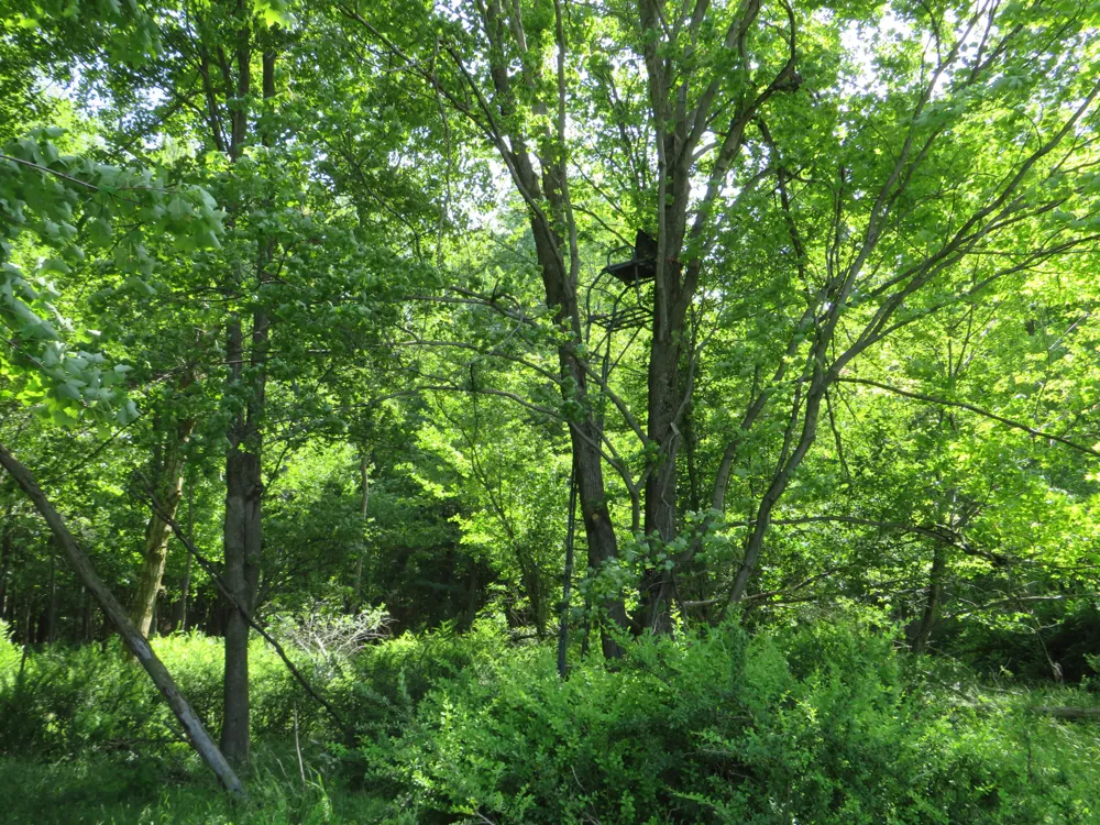 Elkton Road Owendale, MI 48754