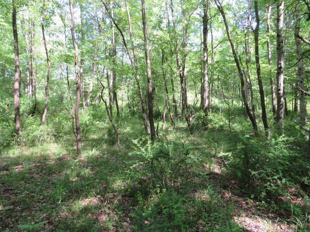 Elkton Road Owendale, MI 48754