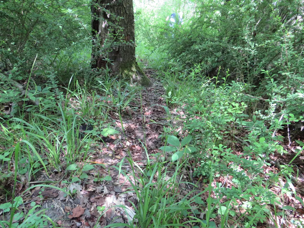 Elkton Road Owendale, MI 48754