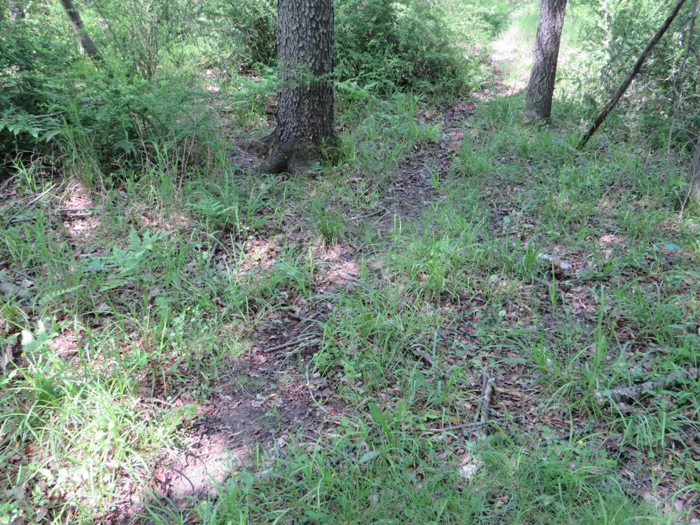 Elkton Road Owendale, MI 48754