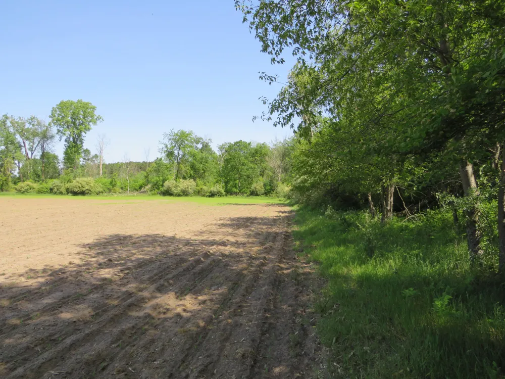 Elkton Road Owendale, MI 48754