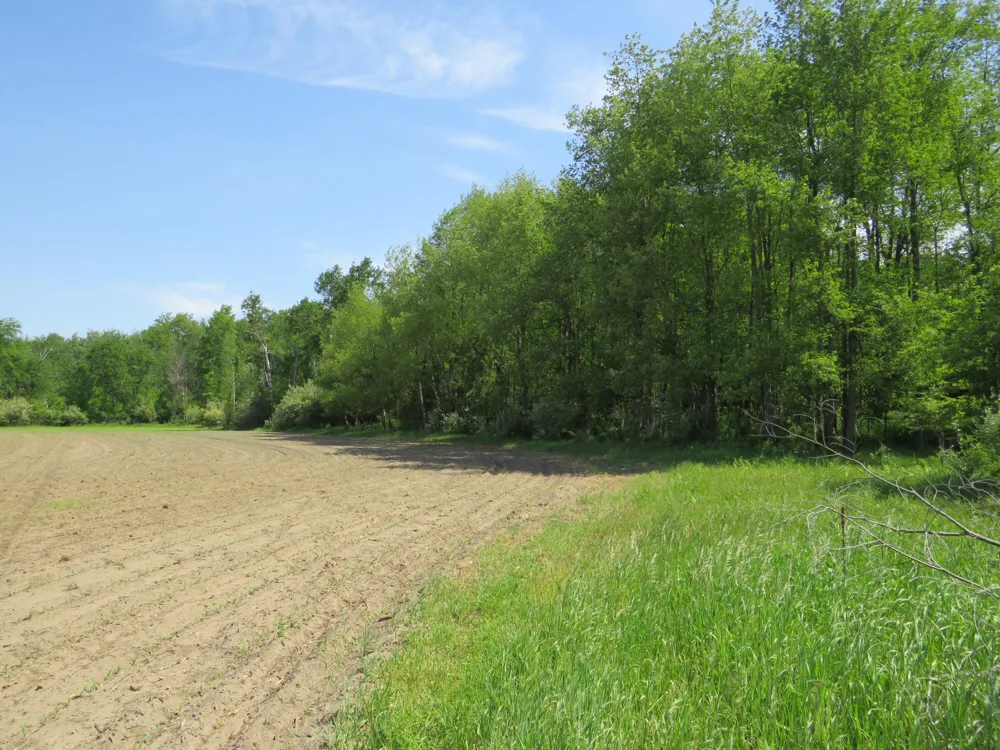 Elkton Road Owendale, MI 48754