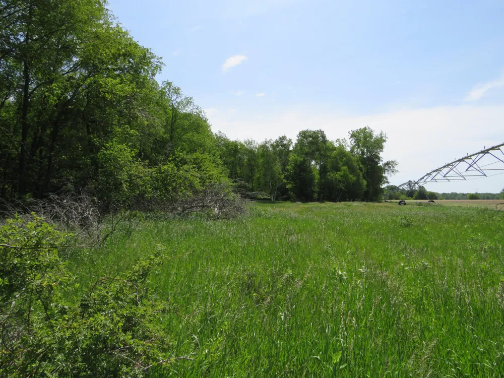 Elkton Road Owendale, MI 48754