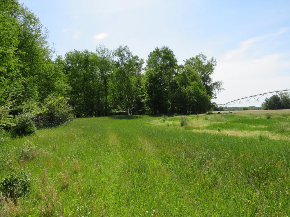 Elkton Road Owendale, MI 48754