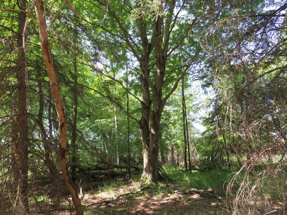 Elkton Road Owendale, MI 48754