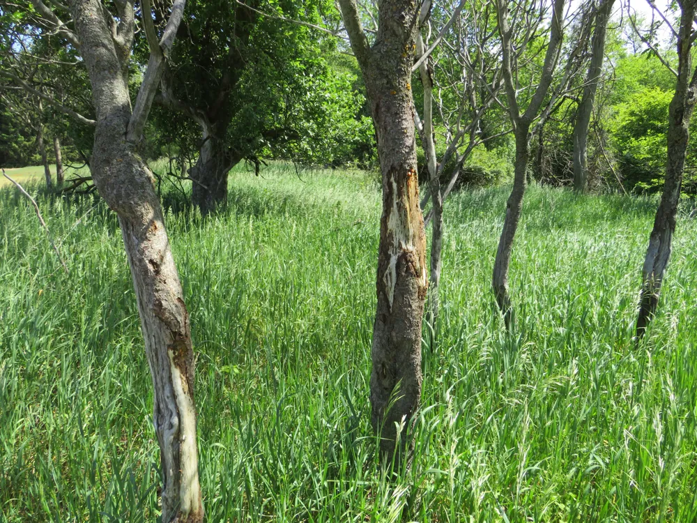 Elkton Road Owendale, MI 48754